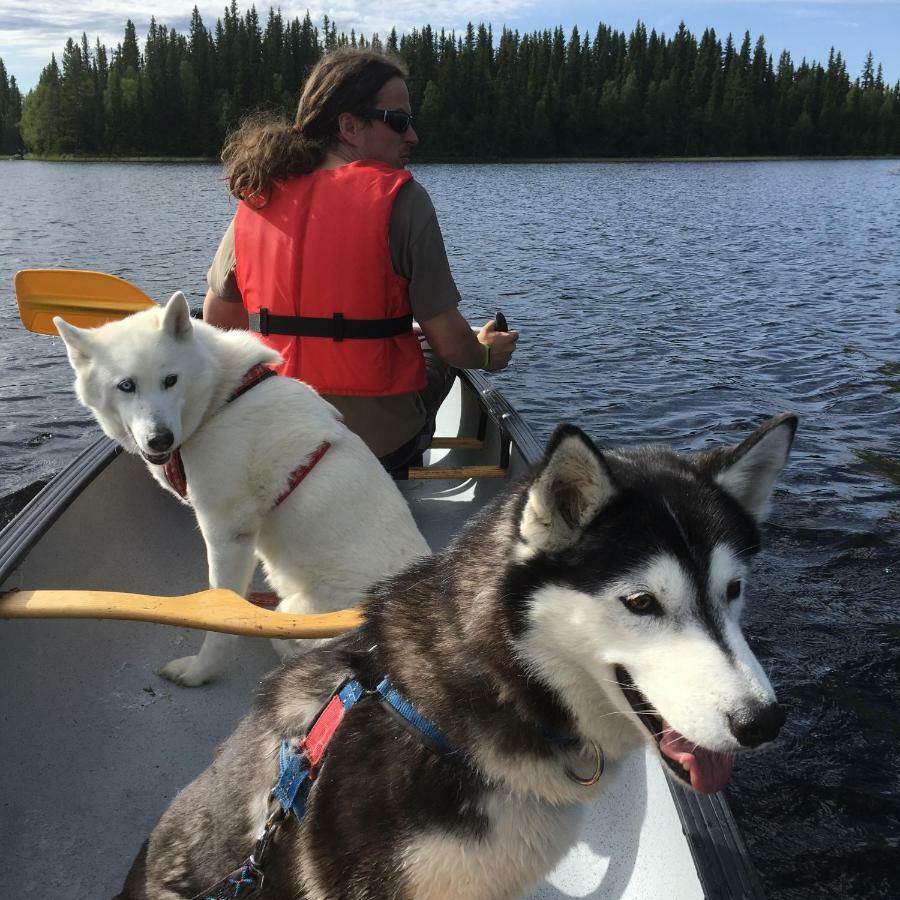 Cabin On Husky Farm Strömsund 외부 사진