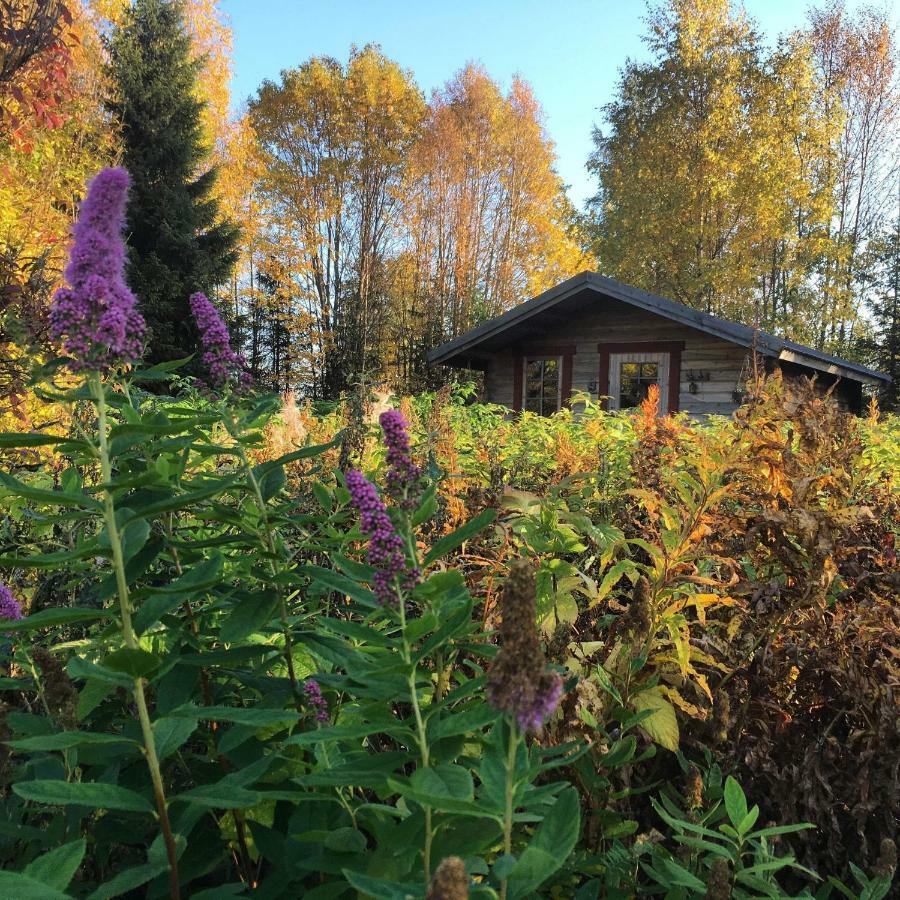 Cabin On Husky Farm Strömsund 외부 사진